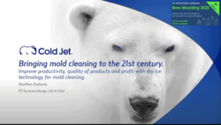 mold cleaning webinar